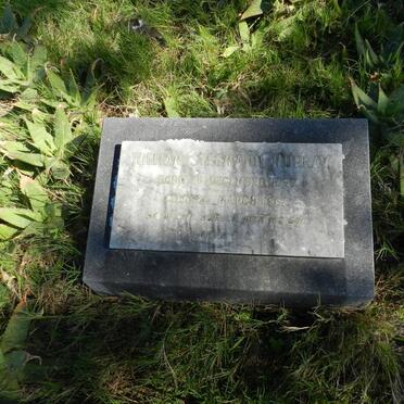 MURRAY William Stegmann 1893-1967