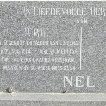 NEL Jurie 1914-1954