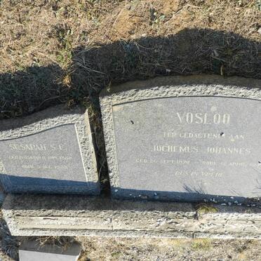 VOSLOO Jochemus Johannes 1870-1948 &amp; Susarah S.C. VOSLOO 1880-1923