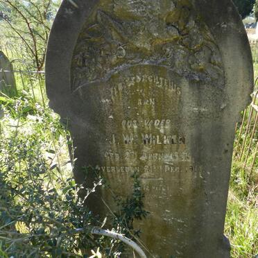 WILKEN J.W. 1846-1917