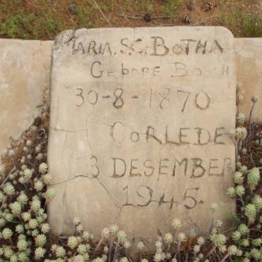 BOTHA Maria S.C. nee BOSCH 1870-1945