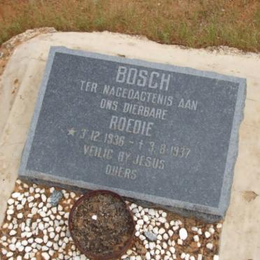 BOSCH Roedie 1936-1937