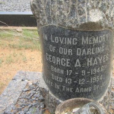 HAYES George A. 1946-1954