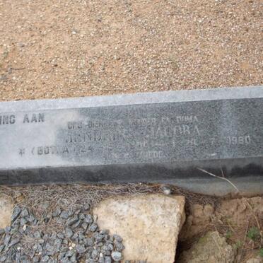 KLOPPER Hendrina Jacoba nee BOTHA  -1980