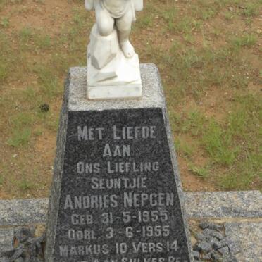 NEPGEN Andries 1955-1955