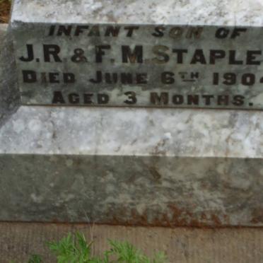 STAPLES  Baby -1904