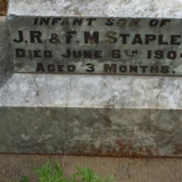 STAPLES  Baby -1904