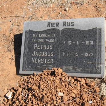 VORSTER Petrus Jacobus 1901-1972