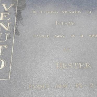 VENUTO Josie -1990 &amp; Hester -1995