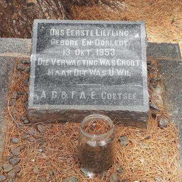 COETSEE 1953-1953