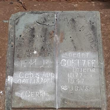 COETZEE F.H.R. 1877-1947 &amp; Driena