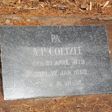 COETZEE  A.P. 1873-1950