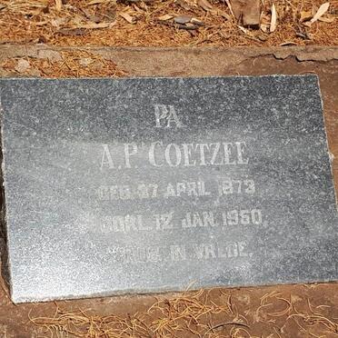 COETZEE  A.P. 1873-1950