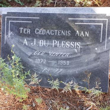 PLESSIS A.J., du nee VENTER 1872-1958