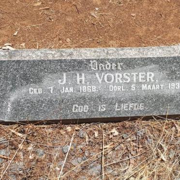 VORSTER J.H. 1868-1931