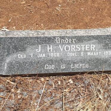 VORSTER J.H. 1868-1931