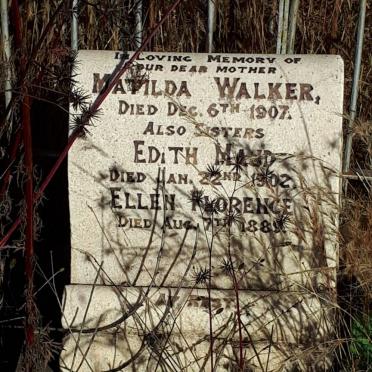 WALKER Mathilda -1907 :: WALKER Edith Maud -1902 :: WALKER Ellen Florence -1889