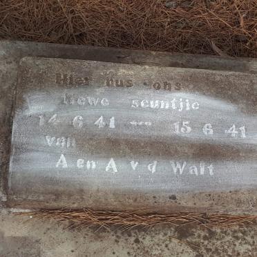 WALT, van der 1941-1941