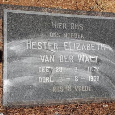 WALT Hester Elizabeth, van der 1872-1959