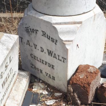 WALT T.A., v.d.