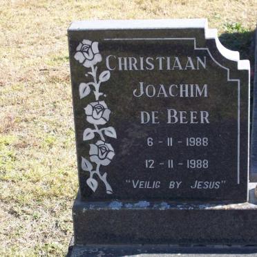 BEER Christiaan Joachim, De 1988-1988