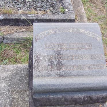 BRANDT Carl 1856-1918