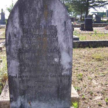 CEACH Eleanor Mary nee NOSWORTHY -1925