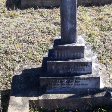 HAHN Fred 1905-1906