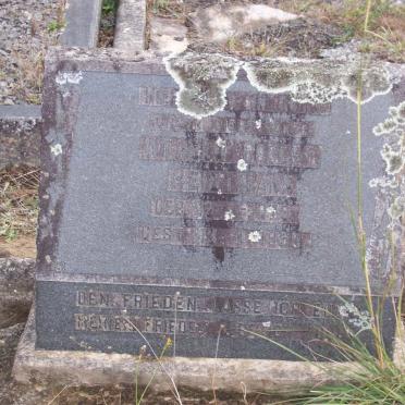 HEIDTMANN Wilhelm Robert 1879-1959