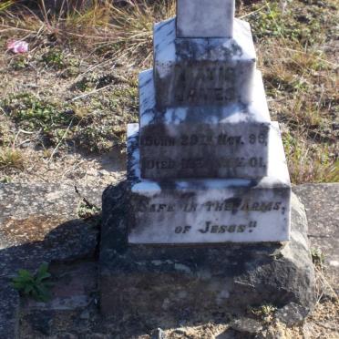 JAMES Mavis 1899-1901