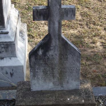 LLOYD Olive Amy