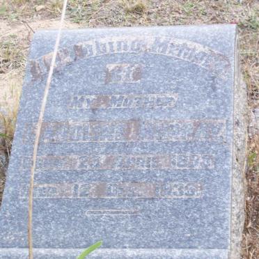 MURRAY Caroline 1835-1935
