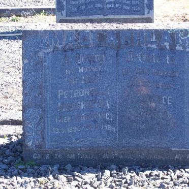 MACLACHLAN Petronella Margretha GREYLING 1890-1989 :: Lawrence Harold 1933-19?1