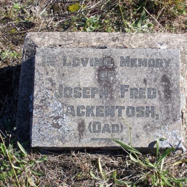 MACKENTOSH Joseph Fred