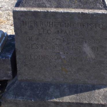 MAUER Leo 1890-1891