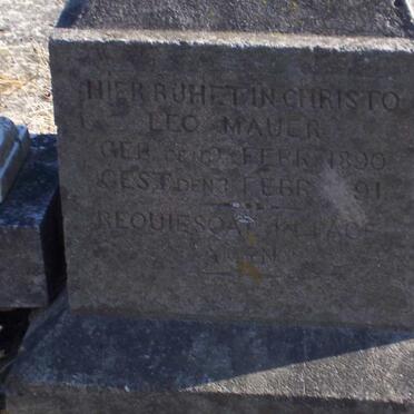 MAUER Leo 1890-1891