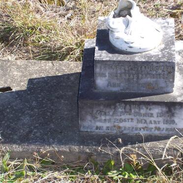 STANLEY Ann Sarolina 1917-1919