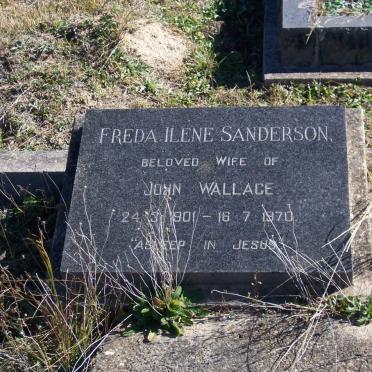 SANDERSON Freda Ilene 1901-1970