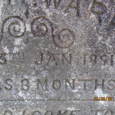 WARREN Georgeni Gertrude -1891 