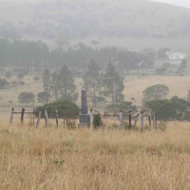 1. Overview