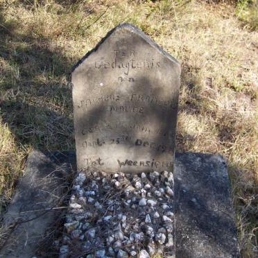 NAUDE Jacobus Francois 1866-1935