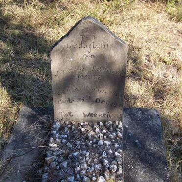NAUDE Jacobus Francois 1866-1935