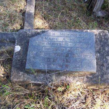 Eastern Cape, STUTTERHEIM district, Nabakya Forest, Naudes Rus, farm cemetery