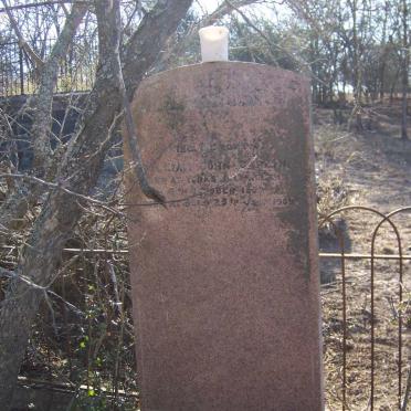 CARLIN William John 1859-1909