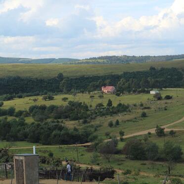 1. Overview
