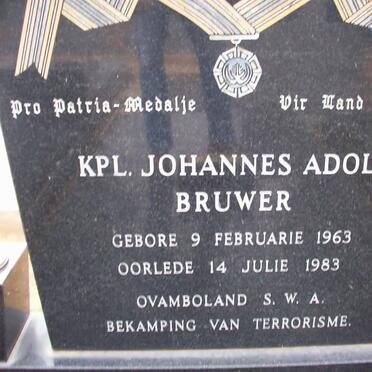 BRUWER Johannes Adolf 1963-1983