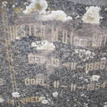 BOTHA Hester M.D. nee BOTHA 1866-1954