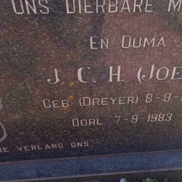 BERNARD Anthonie Johannes 1886-1966 &amp; J.C.H. DREYER 1900-1983