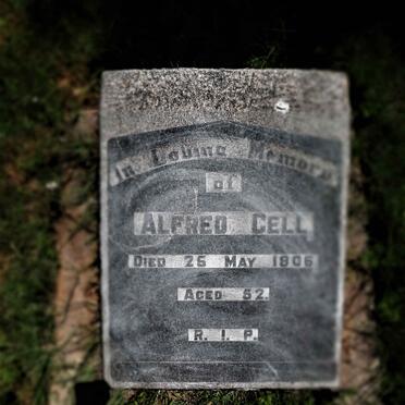 CELL Alfred -1906
