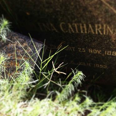 GROBLER Helena Catharina nee DELPORT 1880-1953